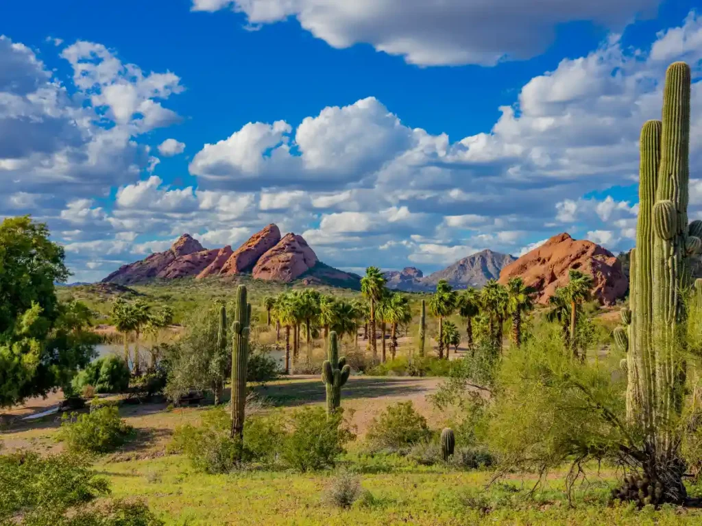 Is Phoenix a good place to live despite the hot climate?