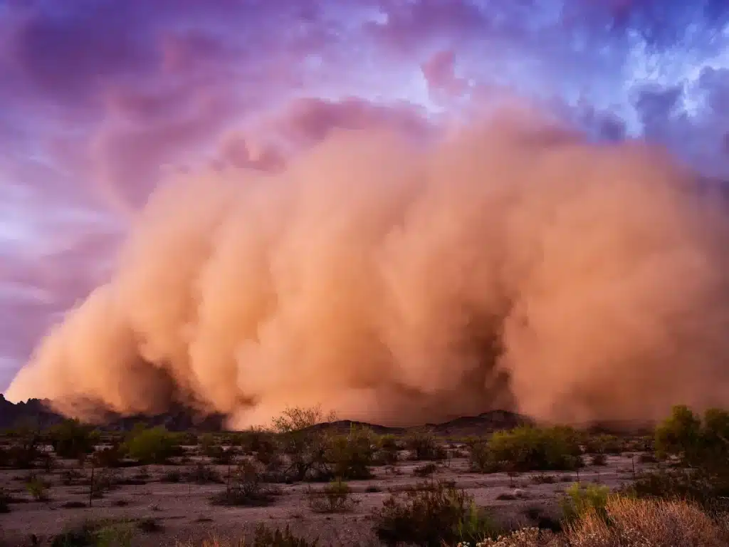 Tips for dealing with haboobs in Phoenix, Arizona, highlighting health risks, staying indoors, using air purifiers, and protective measures during dust storms.